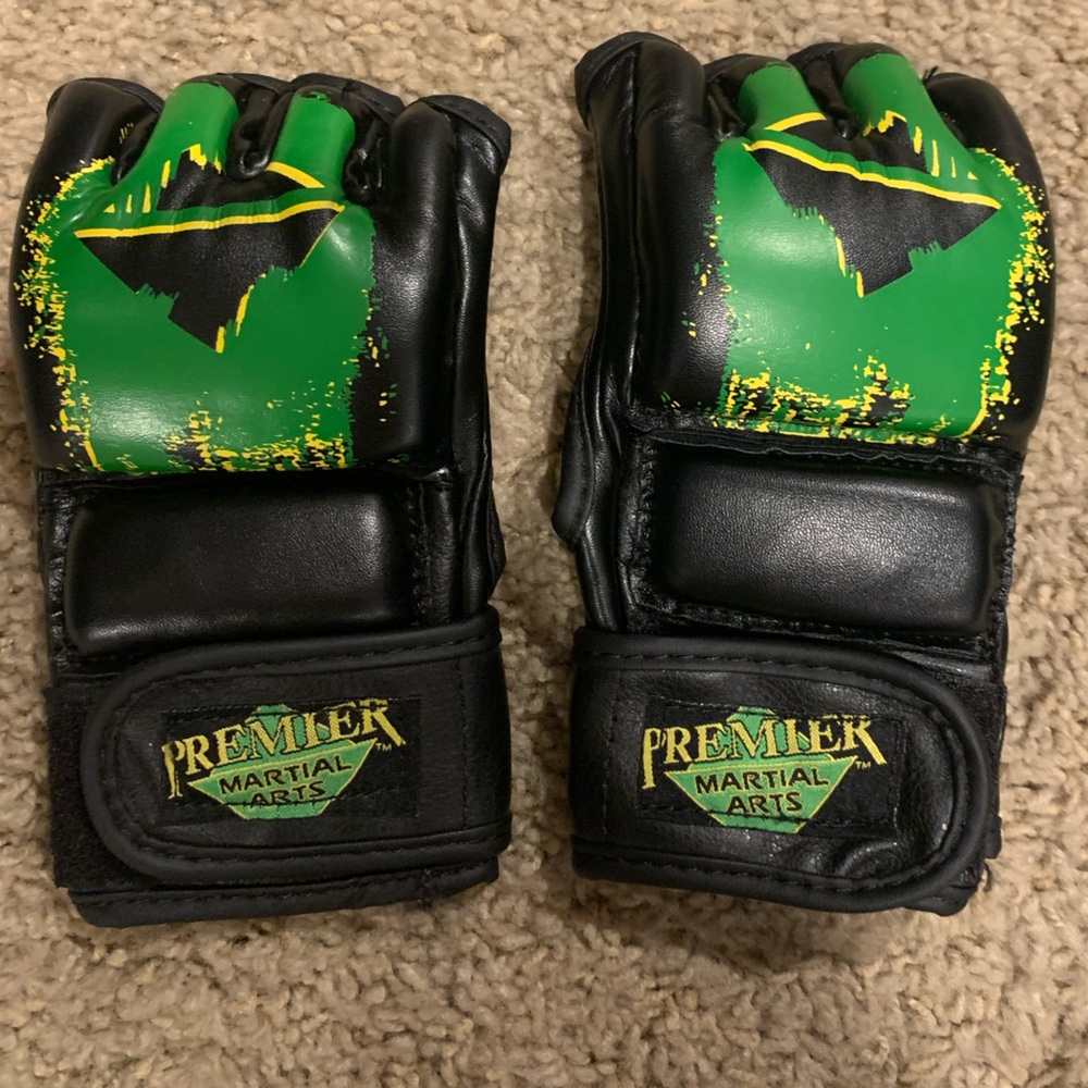 Premier Martial Arts gloves youth L/XL